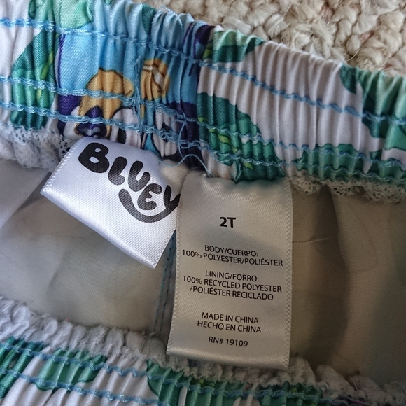Bluey toddler boy Green swim Shorts SIZE 2T - Picture 4 of 9